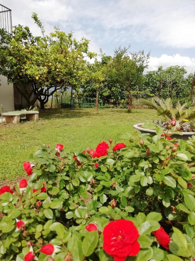 אגרופולי B&B Villa Le Mattine מראה חיצוני תמונה